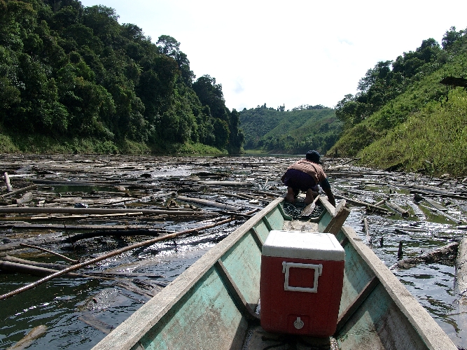 Iban T&auml;nzer im Langhaus in Batang Ai auf Borneo